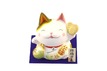  "Lucky cat Treasure"