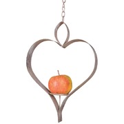 �������� ��� ����