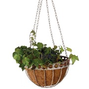 ������� ��� ������ �� �������