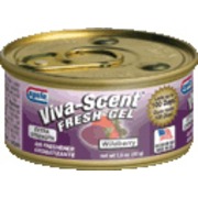    VIVA-SCENT ( )