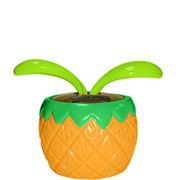 ������� ������������ "������",������