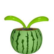 ������� ������������ "�����",�������