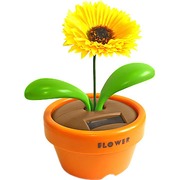 ������� ������������ "���������"