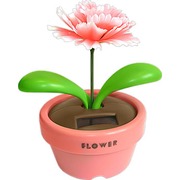 ������� ������������ "��������"