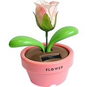 ������� ������������ "�������"