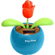 ������� ������������ "����"