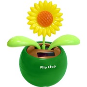 ������� ������������ "���������"