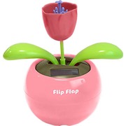 ������� ������������ "�������"