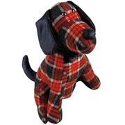 ������������ ���������� ������������ �����