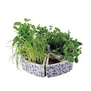 ����� �� ������������ ����� ������� ��� ������ �� ������ ����/�����