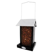 �������� ��� ���� �� ������ � ����������� ������