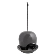 �������� ��� ���� �� �������� �����