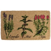 ������ �� ���������� �������