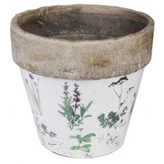 ����� ��� ������ �� ������ ���������