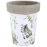 ����� ��� ������ (�������)