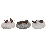 ����� �� 3-� ������������ ������ �� �������� ������ ��� ����