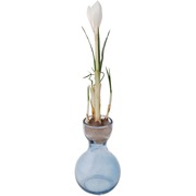 ���� ���������� ��� ������