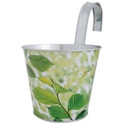 ����� ��� ������