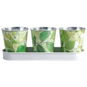 ����� ����� ��� ������