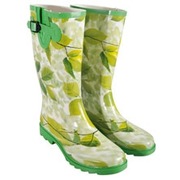 ������ ���������