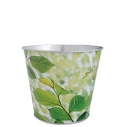 ������ ���������