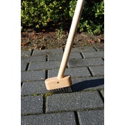 ٸ��� ��� �������� ��������