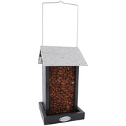 �������� ��� ���� �� ������ � ����������� �����