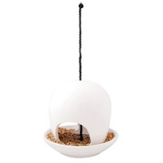 ������������ �������� ��� ���� �� ��������, �����