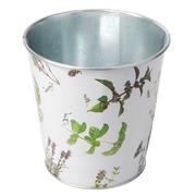 ������ ��� ������