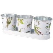 ����� ����� ��� ������