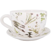 ����� ��� ������