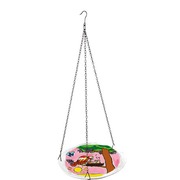 ������������ �������� ��� ���� � ���������