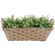 ������� �������� ��� ������