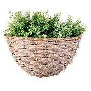 ������� ��� ������ �������