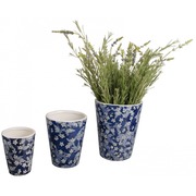 ����� ������������ ������� ��� ������