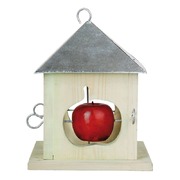 �������� ��� ����