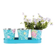 ����� ����� ��� ������