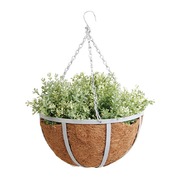 ����� ��� ������ ���������, �����