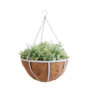 ����� ��� ������ ���������, �������, �����