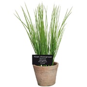 ������ � ������������� ��������� AH006