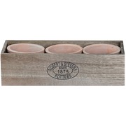 ����� ����� ��� ������ AT18