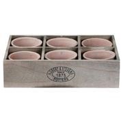 ����� ����� ��� ������