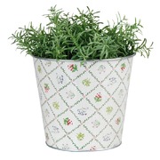 ����� ��� ������ ��������