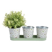 ����� ����� ��� ������