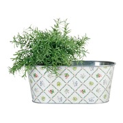 ����� ��� ������ ��������