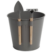 ����� ������������ � �����, �����