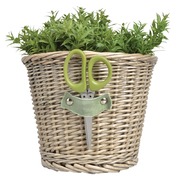 ����� ������������ � �����