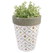 ������ ��� ������