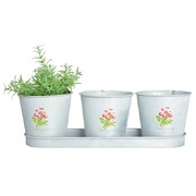 ����� �����