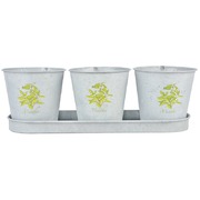 ����� �����